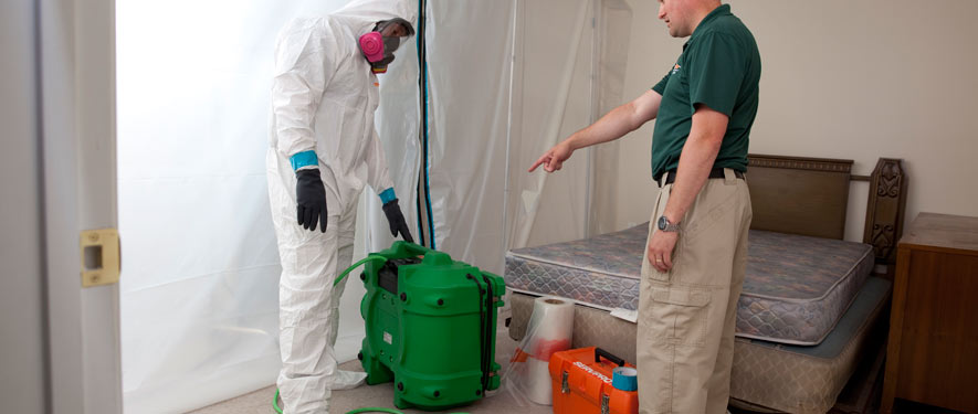 Gurnee, IL mold removal process